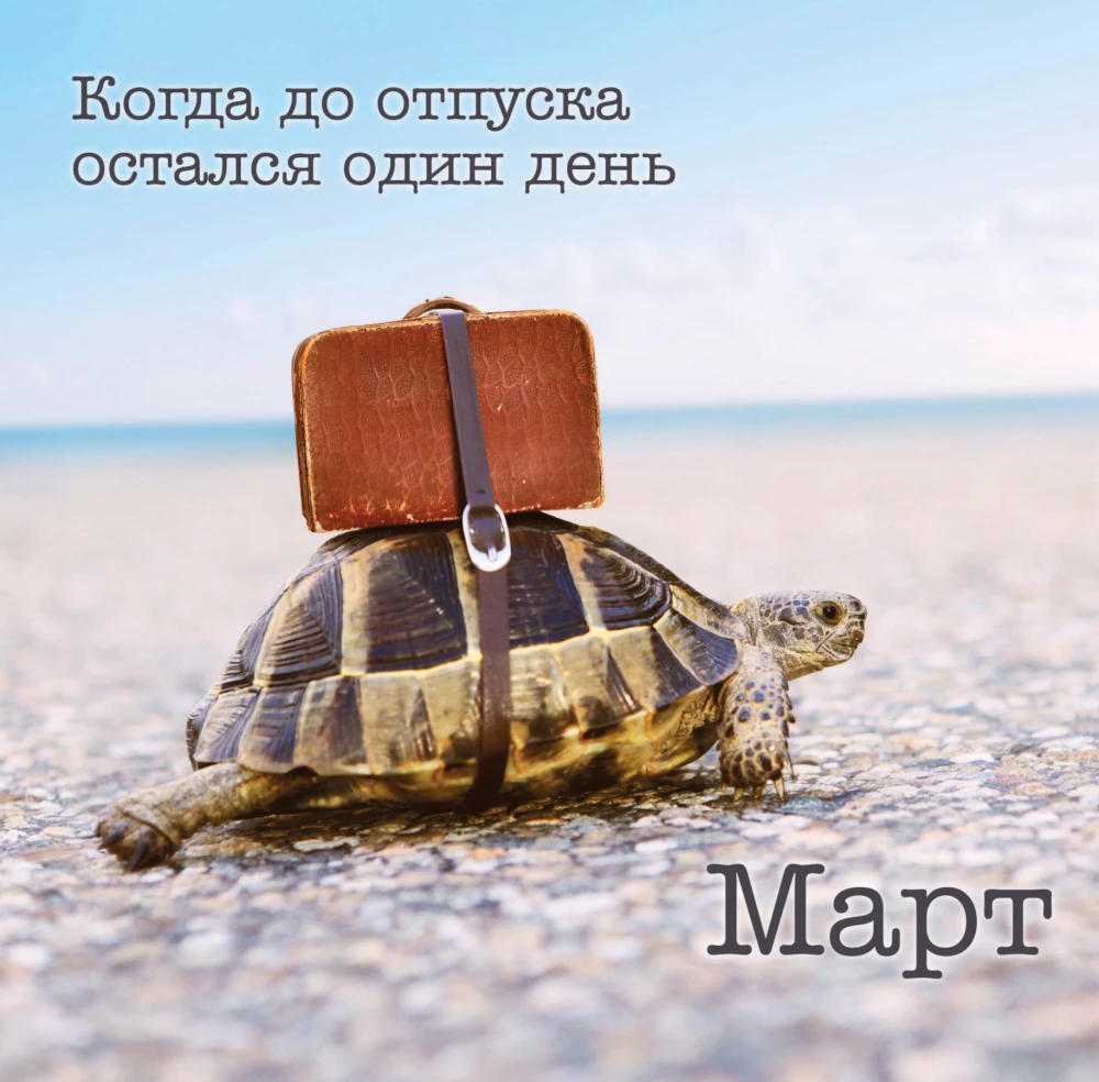 Календарь настенный на 2025 год. Офисные мемы